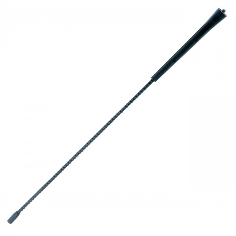 EPCA02 Autoanténa 45cm