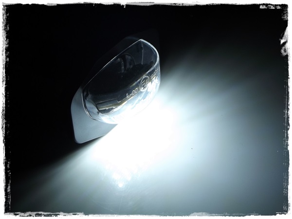 LED osvětlení SPZ TOYOTA Sienna XL30 (2011-NYNÍ)