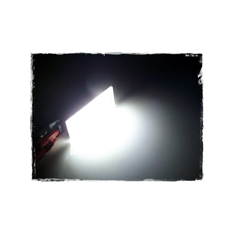 LED osvětlení SPZ RENAULT Master II (2003-2010)