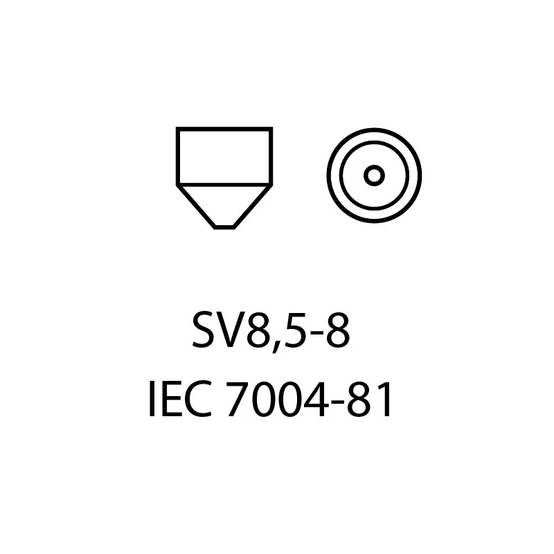 EPL204 LED žárovky C5W (12 x SMD 4014) 31mm 6000K CANBUS